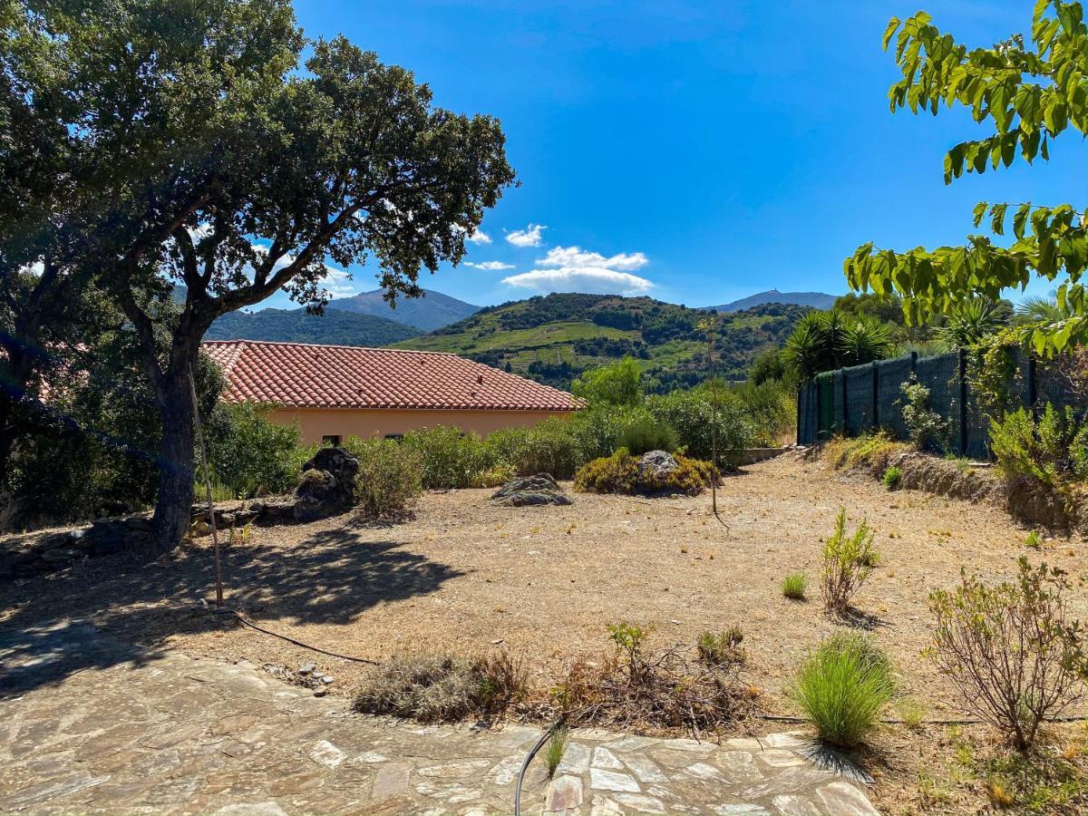 4Amb2 Villa De Caractere Avec Piscine Collective Collioure Exterior foto